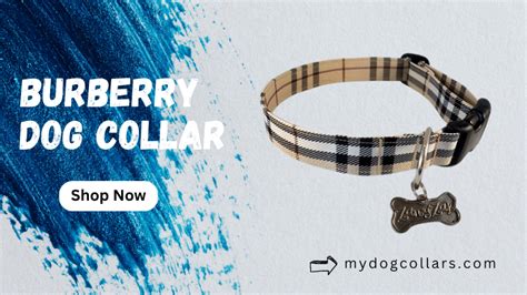 dog coat burberry|Burberry dog collars and leashes.